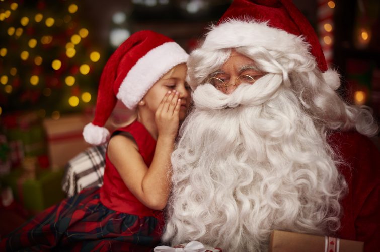 Santa Photos and activities in Central West, NSW